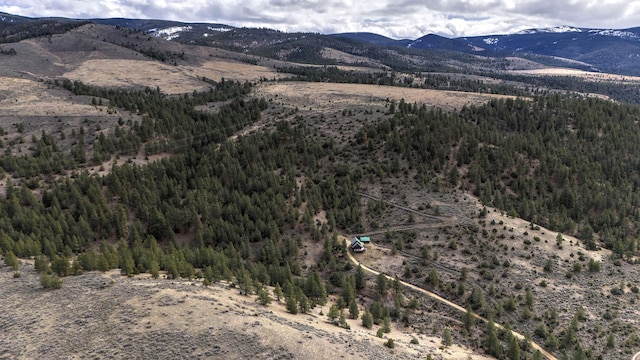 3340 Rome Ln, Stevensville, MT 59870 - mountain view with a forest