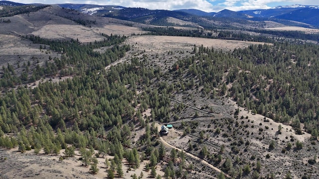3340 Rome Ln, Stevensville, MT 59870 - aerial view of a mountain backdrop and a forest