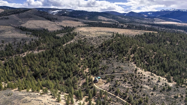 3340 Rome Ln, Stevensville, MT 59870 - view of mountain backdrop featuring a heavily wooded area