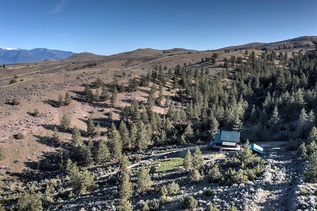 3340 Rome Ln, Stevensville, MT 59870 - view of mountain backdrop