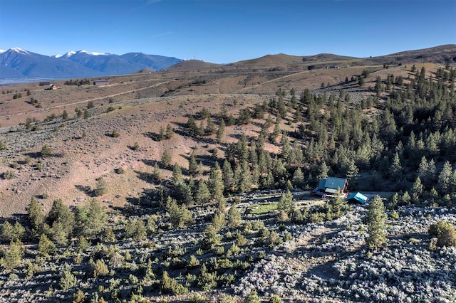 3340 Rome Ln, Stevensville, MT 59870 - view of mountain backdrop
