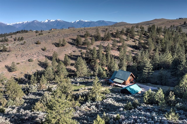 3340 Rome Ln, Stevensville, MT 59870 - view of mountain backdrop