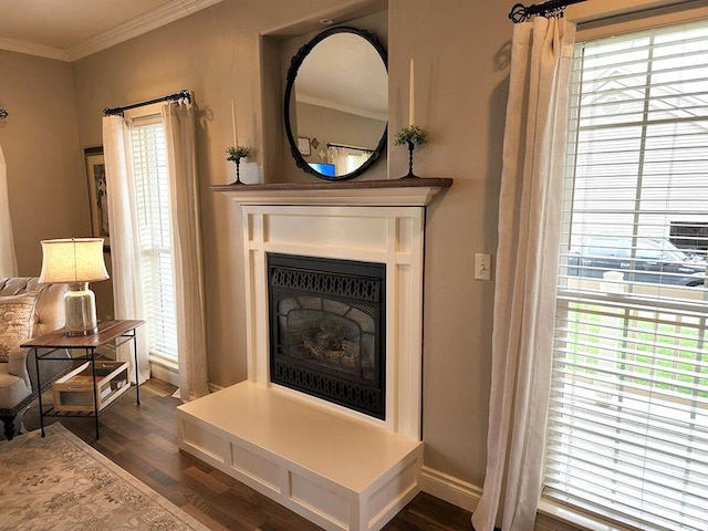 266 W Bowman Dr, Kalispell, MT 59901 - details featuring wood finished floors, a fireplace with raised hearth, crown molding, and baseboards