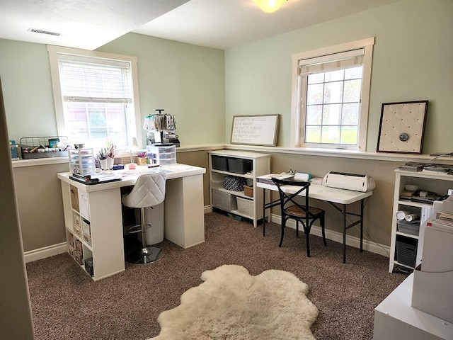 266 W Bowman Dr, Kalispell, MT 59901 - office space with carpet floors, visible vents, and baseboards