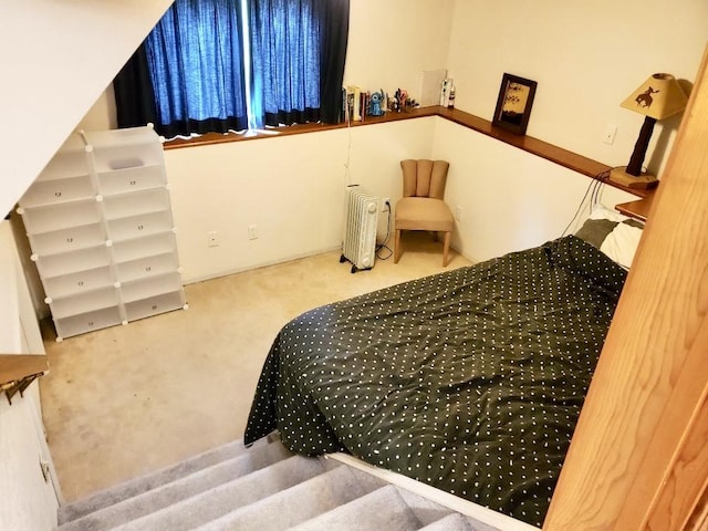 26134 Spinnaker Ln, Elmo, MT 59915 - stairs featuring radiator and carpet floors