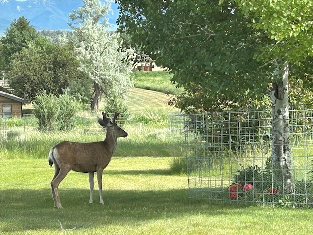 93 Golf Course Dr, Ennis, MT 59729 - view of community featuring a lawn