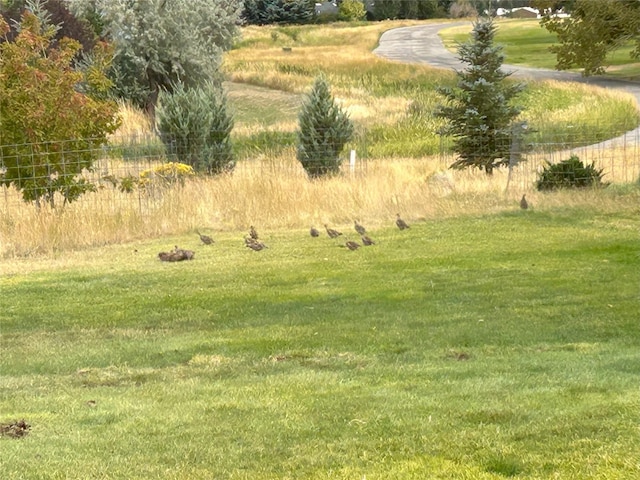 93 Golf Course Dr, Ennis, MT 59729 - view of yard