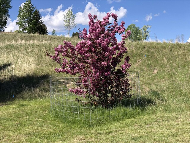 93 Golf Course Dr, Ennis, MT 59729 - view of yard featuring a rural view