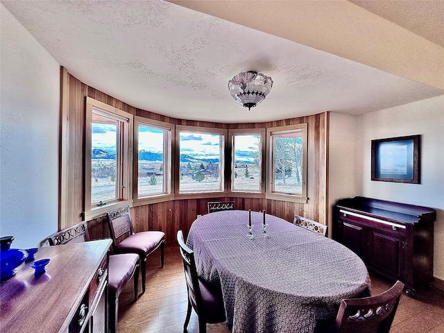 93 Golf Course Dr, Ennis, MT 59729 - dining area featuring light wood-style flooring, wood walls, a textured ceiling, and a textured wall