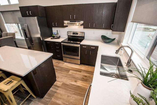 21D Hickory Loop, Whitefish, MT 59937 - kitchen with stainless steel appliances, under cabinet range hood, light countertops, light wood-style flooring, and dark brown cabinetry