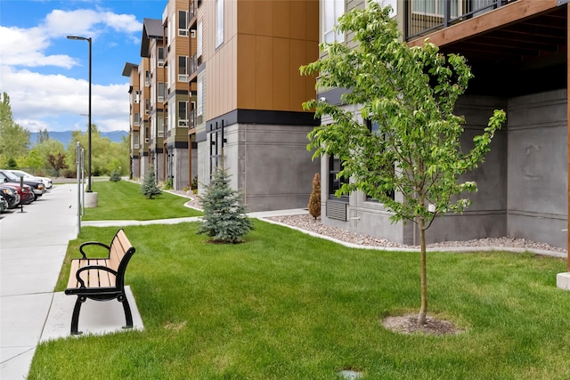 view of community featuring a lawn
