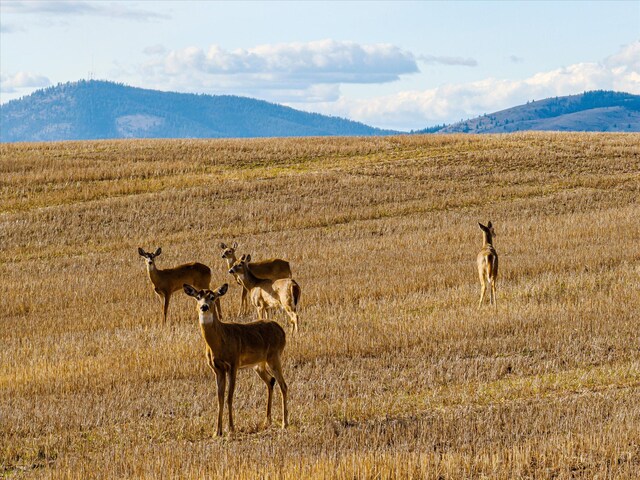 TRACT2 Mt Highway 35, Polson, MT 59860