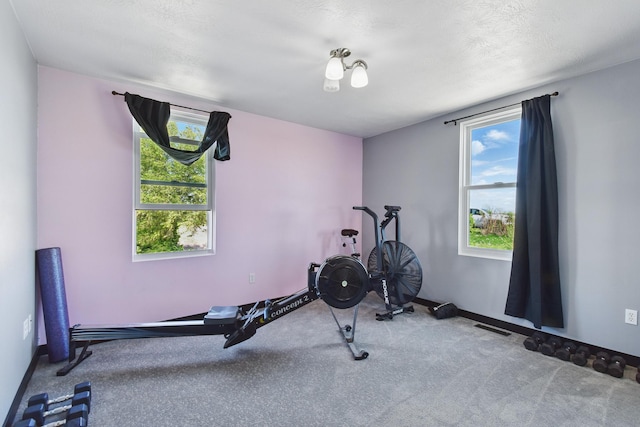 8745 US Highway 91 N, Conrad, MT 59425 - exercise room featuring carpet flooring and baseboards