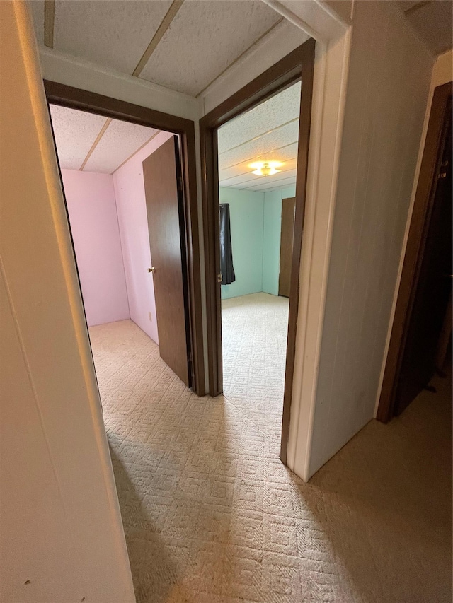 381 Lyng Ave W, Highwood, MT 59450 - hall featuring carpet floors