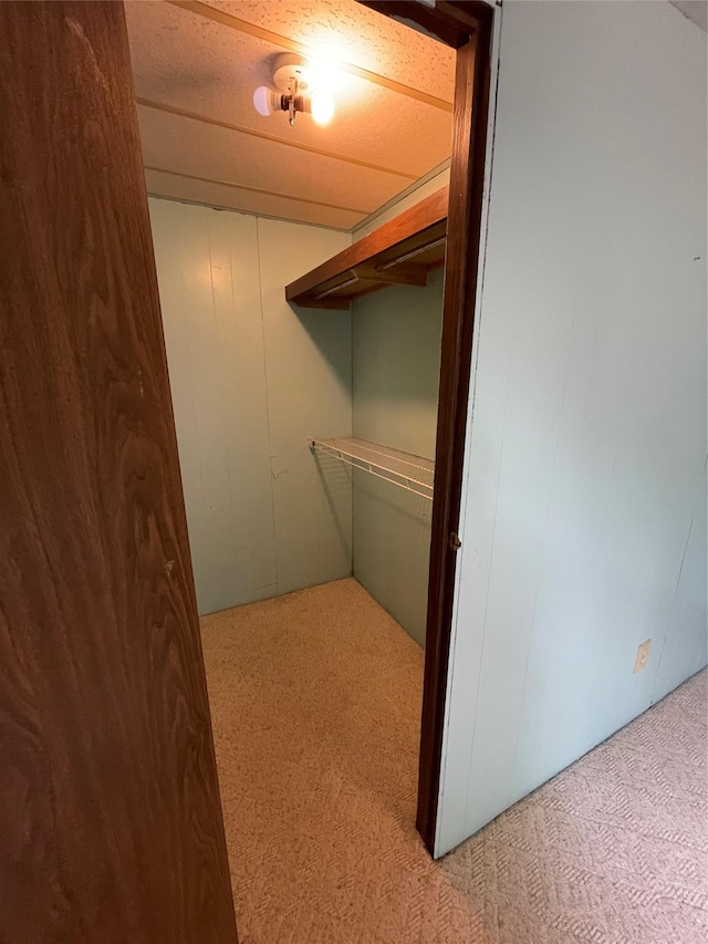 381 Lyng Ave W, Highwood, MT 59450 - walk in closet with carpet floors