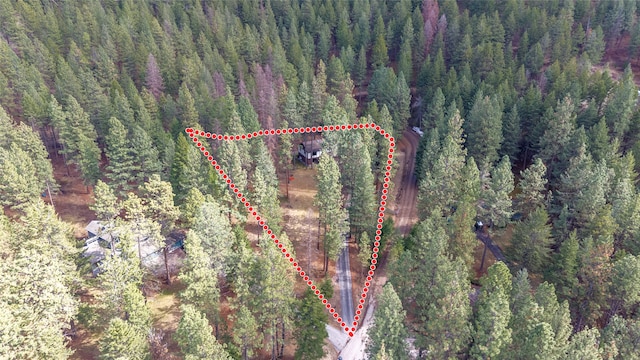 drone / aerial view of a forest