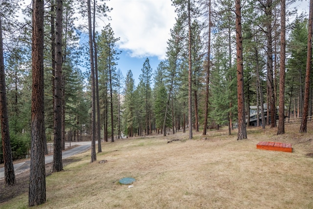 view of yard featuring a wooded view