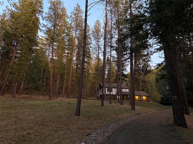 view of front facade with a front yard and a view of trees