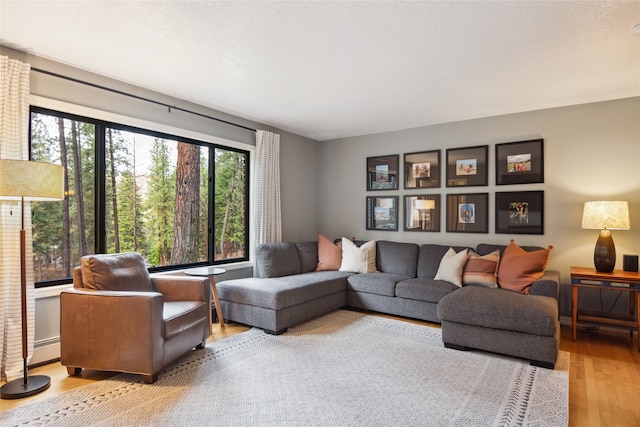 living room featuring wood finished floors