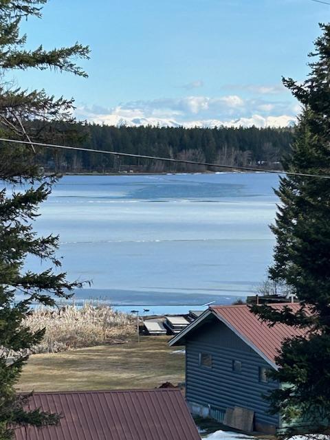 18522 Geiger Ln, Proctor, MT 59929 - water view featuring a forest