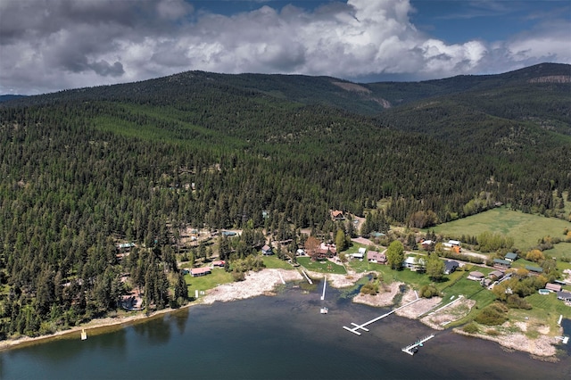 18522 Geiger Ln, Proctor, MT 59929 - aerial view of property and surrounding area featuring a forest and a water and mountain view