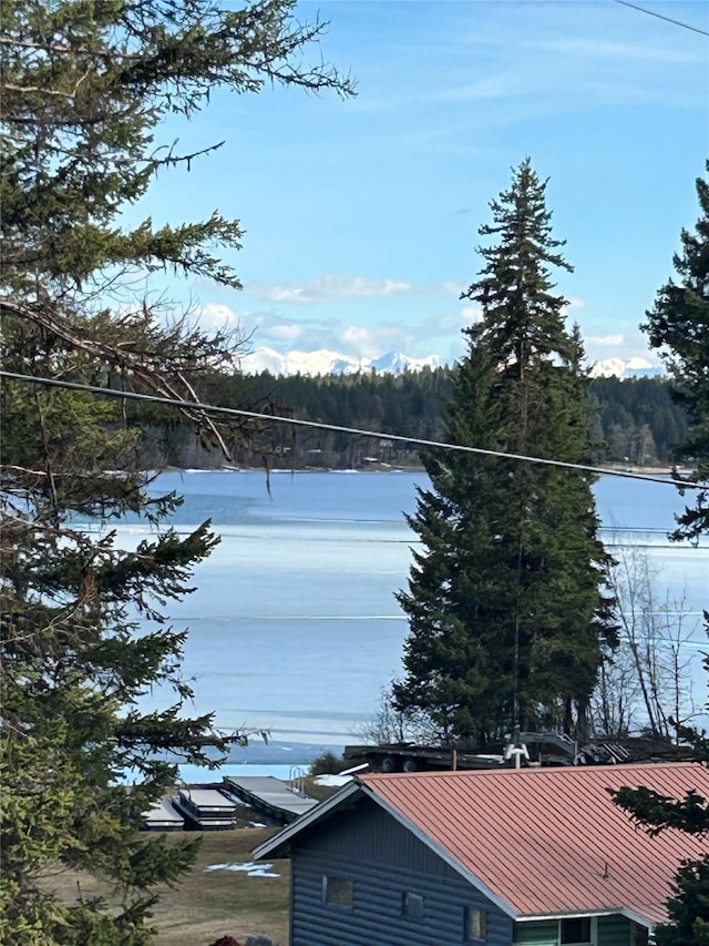 18522 Geiger Ln, Proctor, MT 59929 - water view with a forest