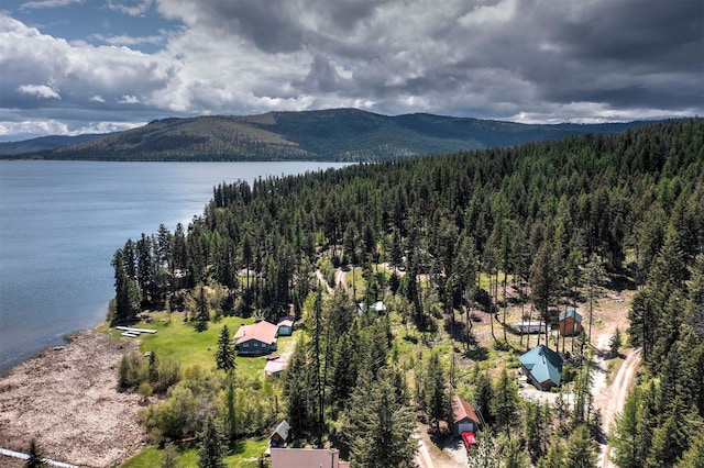 18522 Geiger Ln, Proctor, MT 59929 - bird's eye view of a water and mountain view and a forest