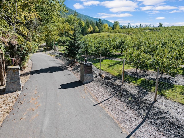 31572 Lake To Sky Dr, Bigfork, MT 59911 - view of asphalt road featuring a mountain view