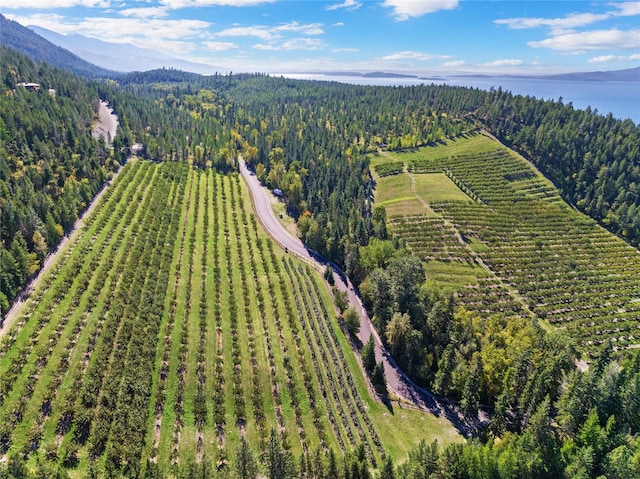 31572 Lake To Sky Dr, Bigfork, MT 59911 - aerial view of property's location with a heavily wooded area and a mountainous background