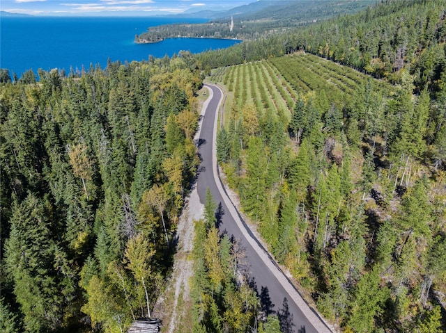 31572 Lake To Sky Dr, Bigfork, MT 59911 - aerial view of property and surrounding area featuring a heavily wooded area and a nearby body of water