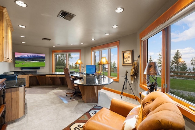 31572 Lake To Sky Dr, Bigfork, MT 59911 - home office with recessed lighting and light carpet