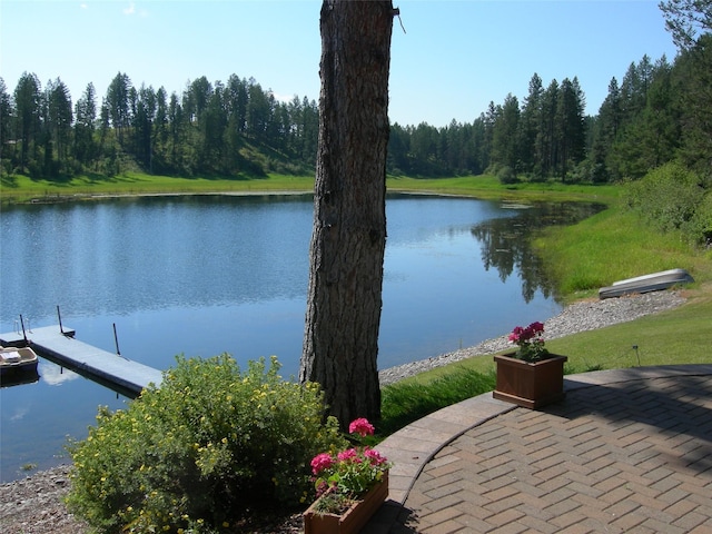 306 Parker Lakes Rd, Bigfork, MT 59911 - dock featuring a water view and a view of trees