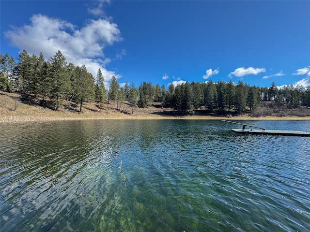 306 Parker Lakes Rd, Bigfork, MT 59911 - water view featuring a boat dock
