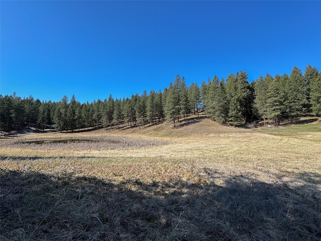 306 Parker Lakes Rd, Bigfork, MT 59911 - view of woods featuring a view of countryside