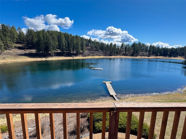 306 Parker Lakes Rd, Bigfork, MT 59911 - water view with a forest and a dock
