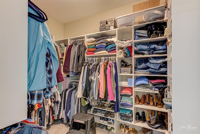 2883 Alpine View Loop, Helena, MT 59601 - spacious closet featuring carpet flooring