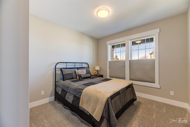 2883 Alpine View Loop, Helena, MT 59601 - bedroom featuring baseboards and carpet floors