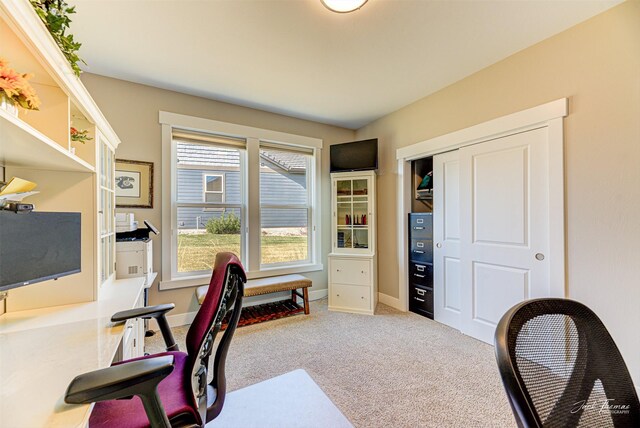 2883 Alpine View Loop, Helena, MT 59601 - carpeted office space featuring baseboards