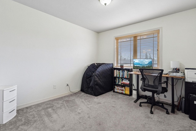 425 Northridge Dr, Kalispell, MT 59901 - office area with carpet flooring and baseboards