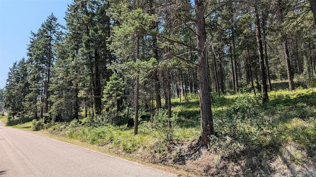 106 Timberlane Ter, Lakeside, MT 59922