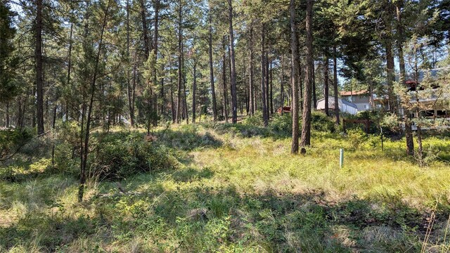 106 Timberlane Ter, Lakeside, MT 59922