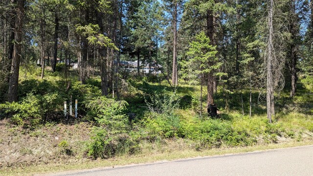 106 Timberlane Ter, Lakeside, MT 59922