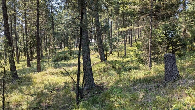 106 Timberlane Ter, Lakeside, MT 59922