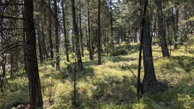 106 Timberlane Ter, Lakeside, MT 59922
