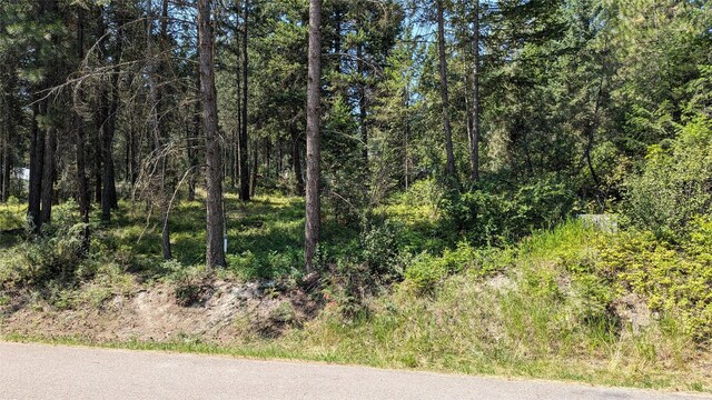 106 Timberlane Ter, Lakeside, MT 59922