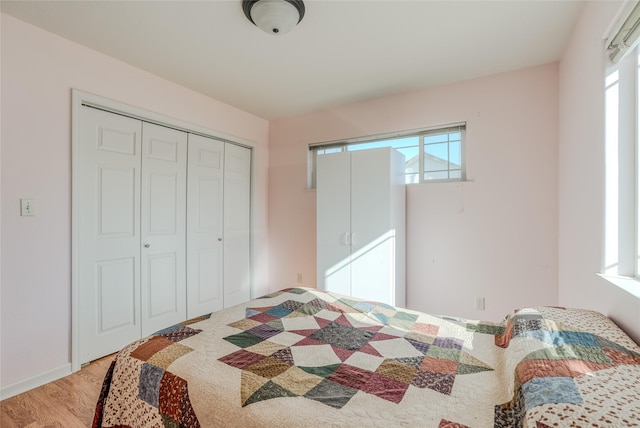 675 Pebble Dr, Kalispell, MT 59901 - bedroom featuring multiple windows, light wood-style flooring, and a closet