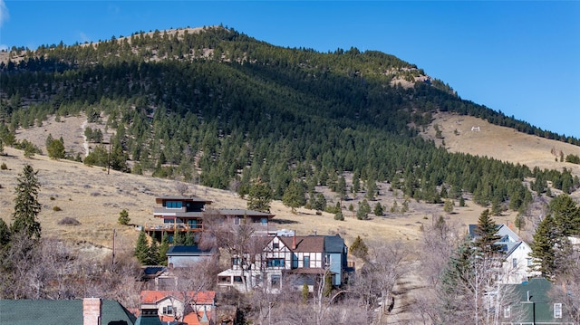 521 Clarke St, Helena, MT 59601 - view of mountain backdrop with a heavily wooded area