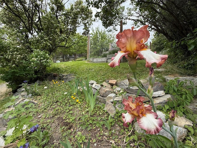 521 Clarke St, Helena, MT 59601 - view of yard