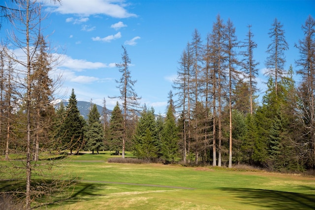 100 Forest Ridge Dr Unit B, Whitefish, MT 59937 - view of community featuring a mountain view and a yard