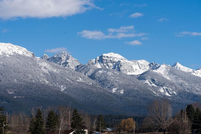 234 Red Tail Rd, Polson, MT 59860